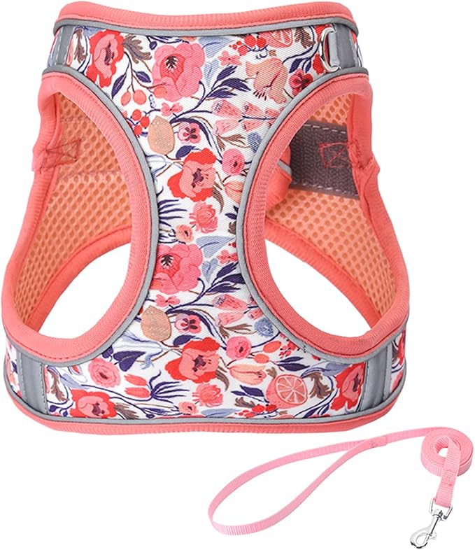 XS Peach Flower Pattern Dog Harness and Leash Set, No Escape Puppy Harnesses by Unknown