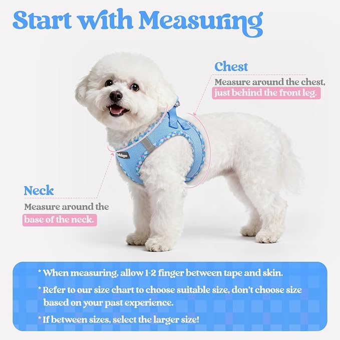 rabbitgoo Dog Harness Small Medium Sized and Leash Set, Step in Soft Light - Image 2