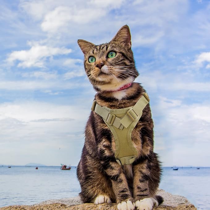 AIWAI Tactical Cat Harness for Walking Escape Proof, Adjustable Pet Vest Harness - Image 4