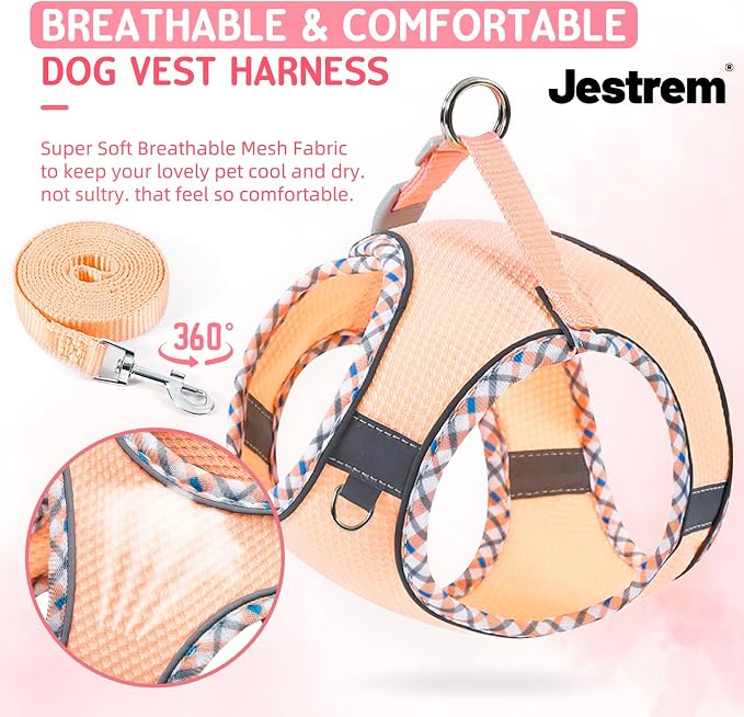 XXS Cat Harness and Leash Set - Image 3