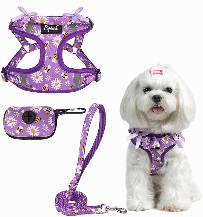 PUPTECK Dog Harness and Leash Set Small Sized, Step in No Pull Adjustable Puppy by PUPTECK