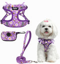 PUPTECK Dog Harness and Leash Set Small Sized, Step in No Pull Adjustable Puppy by PUPTECK