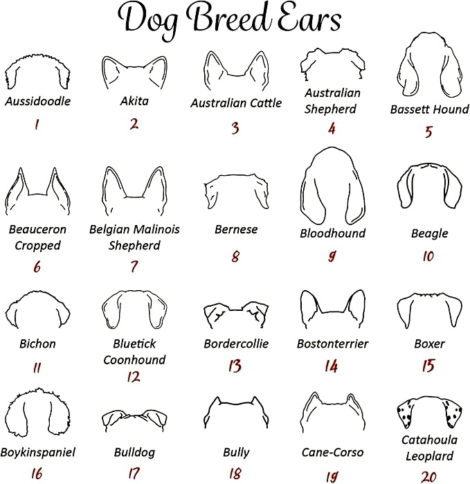 Personalized Dog Mom Sweatshirt, Custom Dog Ear Line Art Portrait Sweatshirt - Image 3