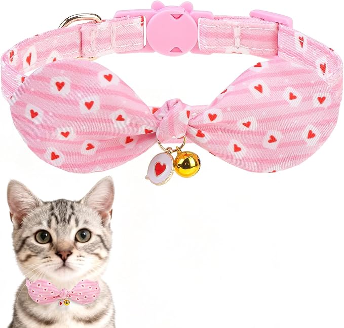 EXPAWLORER Bunny Ear Cat Collar by EXPAWLORER