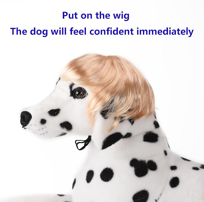 Funny Cosplay Wig for Dog, Headwear Apparel, Pet Costumes, Cat Dress up for - Image 5