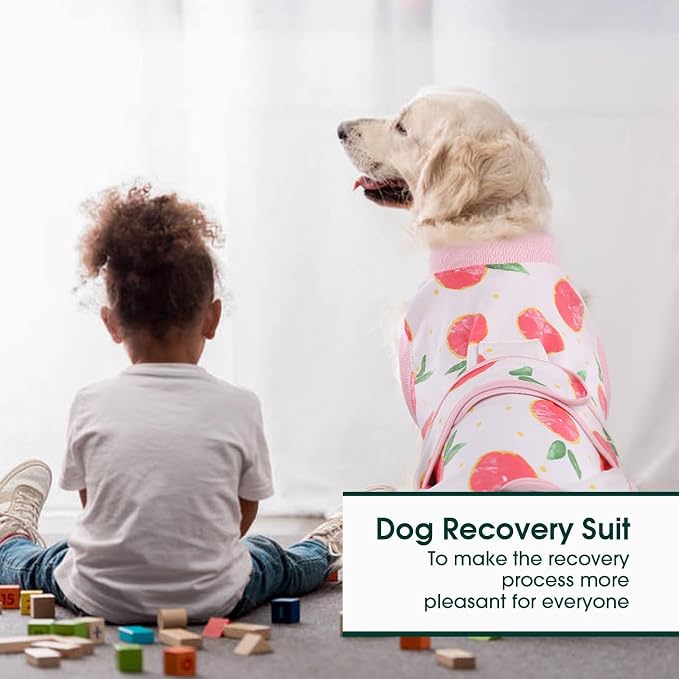 Kuoser Dog Recovery Suit Female, Dog Onesie - Image 5