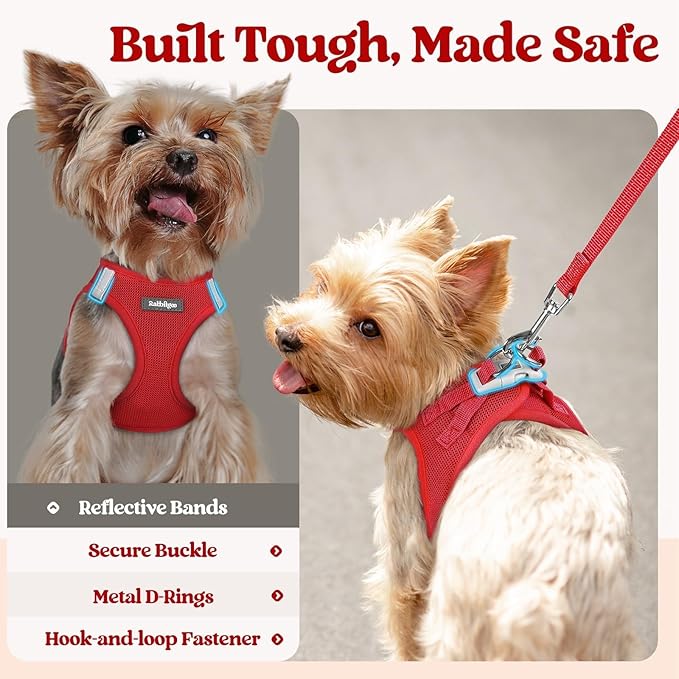 rabbitgoo Dog Harness Small Sized and Leash Set, Step in Soft Light Puppy Vest - Image 5