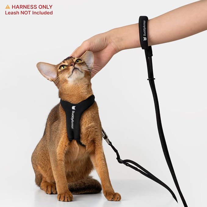 Escape Proof Y Shape Cat Harness Anti-Choke Buckle Adjustable Comfortable - Image 6