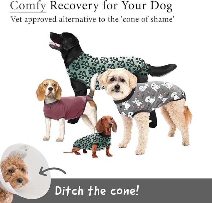 BellyGuard Dog Surgery Recovery Suit, Dog Onesie - Image 2