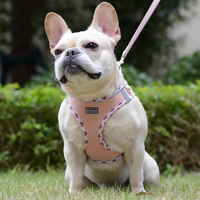 Mercano Soft Mesh Dog Harness and Leash Set, No-Chock Step-in Reflective - Image 4