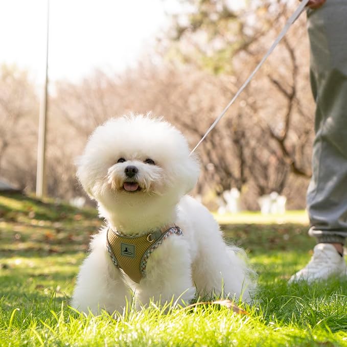 Dog Harness and Leash Set - Image 7