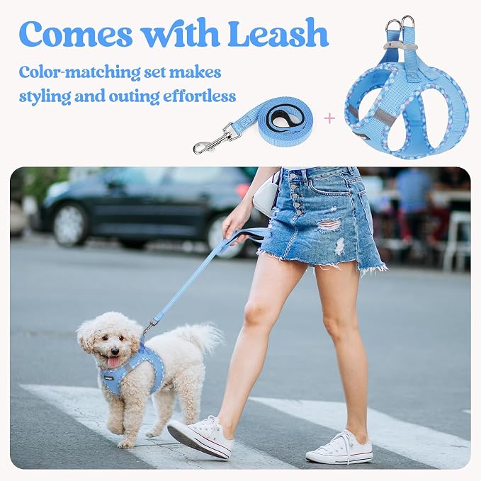 rabbitgoo Dog Harness Small Medium Sized and Leash Set, Step in Soft Light - Image 5