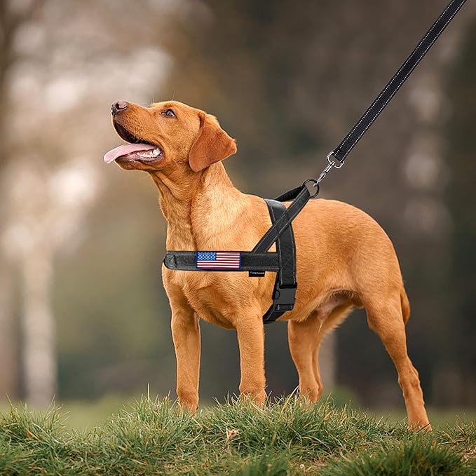 Annchwool No Pull Dog Harness - Image 7