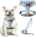 PUPTECK Soft Mesh Dog Harness and Leash Set Pet Puppy Cat Comfort Padded Vest by PUPTECK