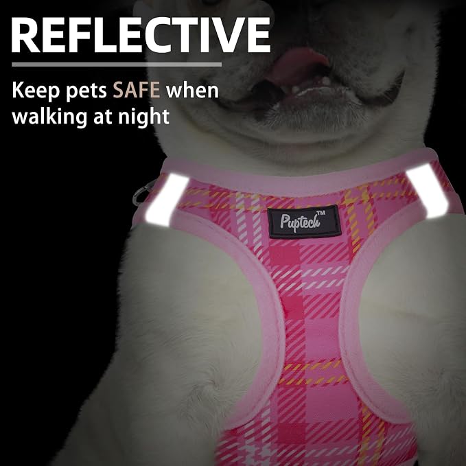 PUPTECK Dog Harness and Leash Set - Image 4