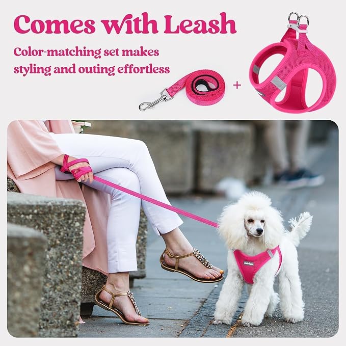 rabbitgoo Dog Harness Small Medium Sized and Leash Set, Step in Soft Light - Image 6