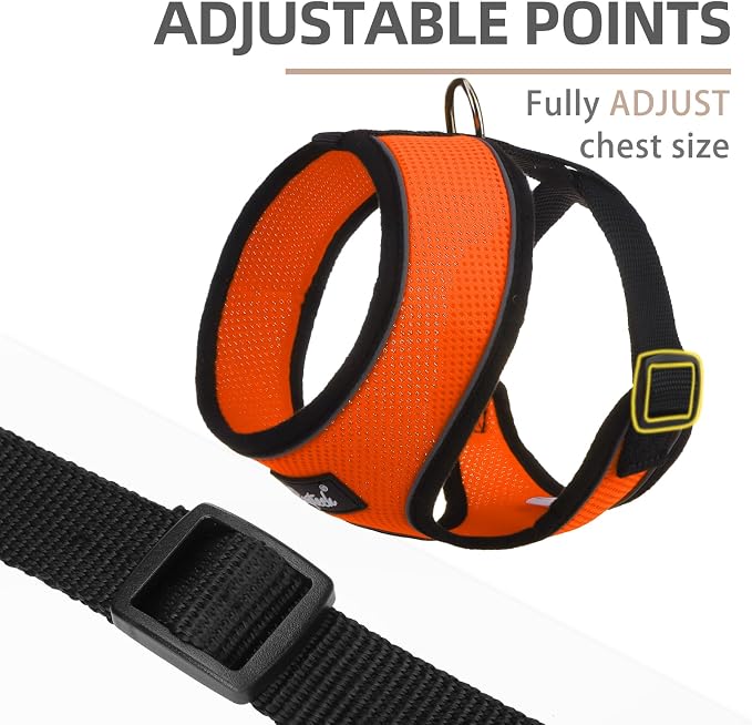 PUPTECK Soft Mesh Dog Harness and Leash Set Pet Puppy Cat Comfort Padded Vest - Image 3