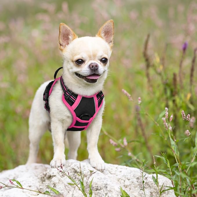 rabbitgoo Dog Harness No Pull - Image 7