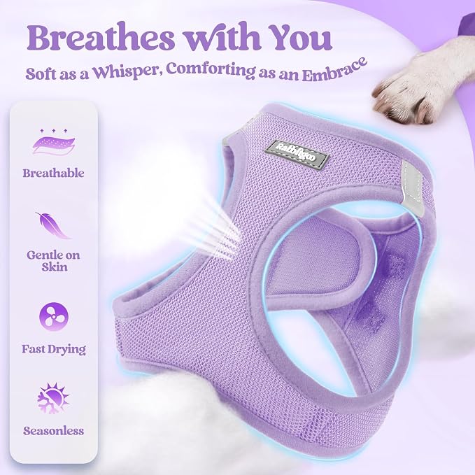 rabbitgoo Dog Harness Small Medium Sized and Leash Set, Step in Soft Light - Image 4
