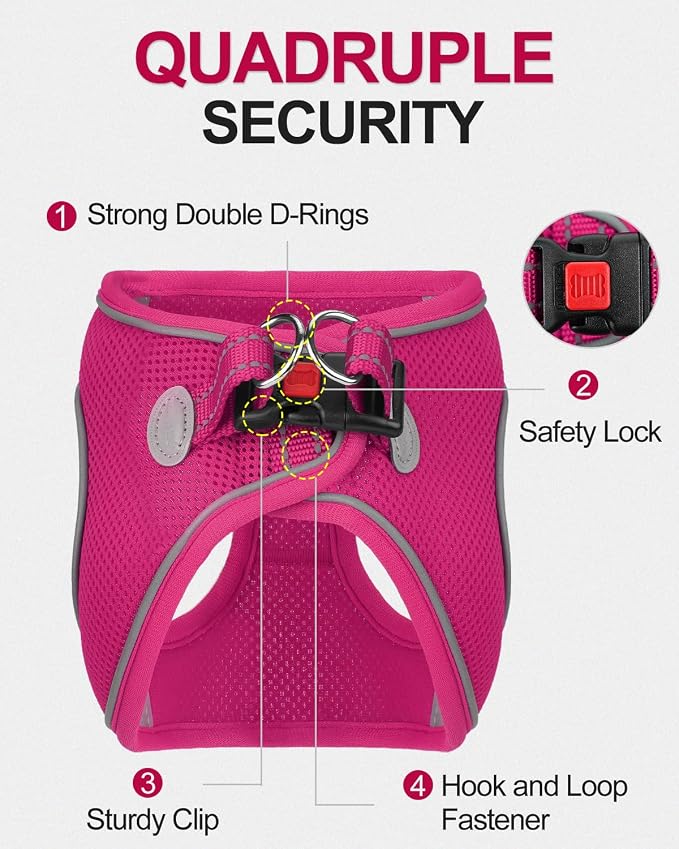 Joytale Small Dog Harness, Breathable Mesh Step-in Vest, Reflective Soft Padded - Image 3