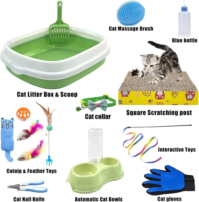 Kitten Starter Kit - Image 2