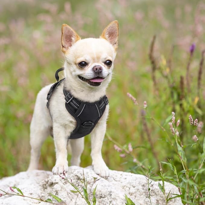 rabbitgoo Dog Harness No Pull - Image 8