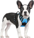 rabbitgoo Dog Harness No Pull by rabbitgoo