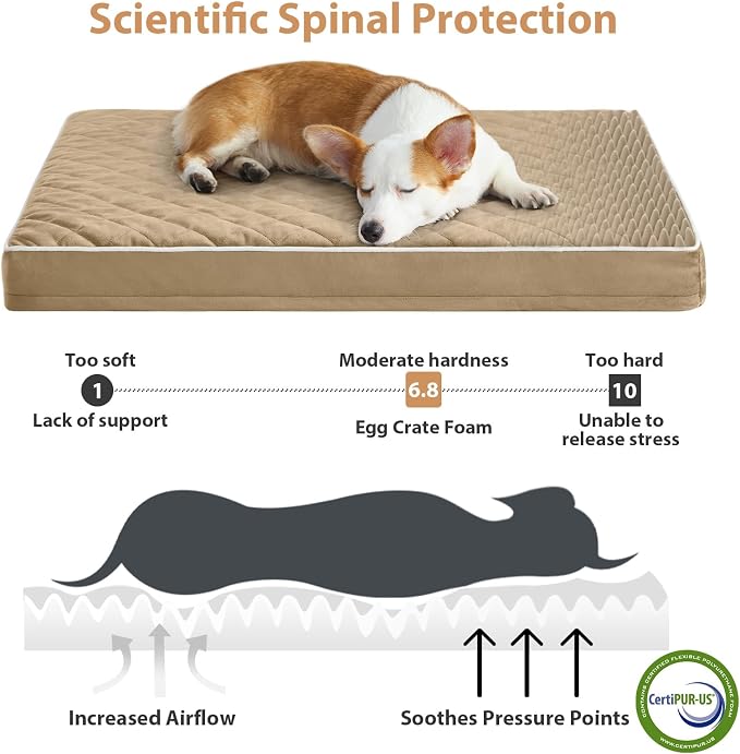 WNPETHOME Orthopedic XXL Dog Beds Large Sized Dog, Waterproof Extra Large Dogs - Image 3