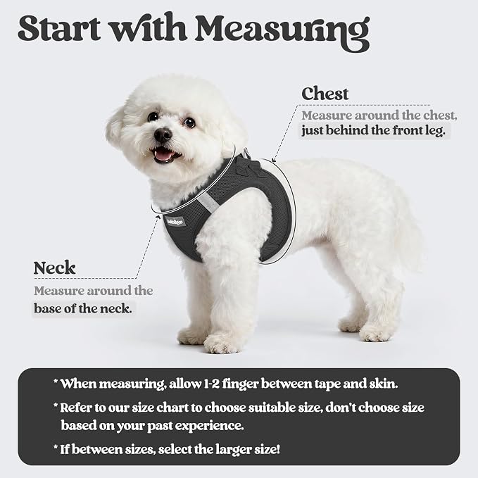rabbitgoo Dog Harness Small Sized and Leash Set, Step in Soft Light Puppy Vest - Image 2