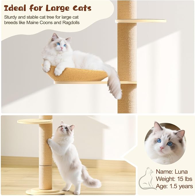 Tinnmao Solid Real Wood Floor to Ceiling Cat Tree, 5 Level Adjustable Height - Image 6