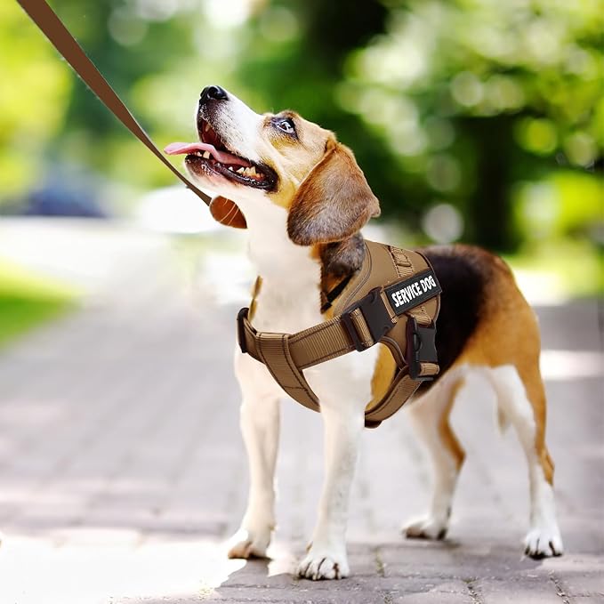 voopet Emotional Support Dog Harness, Professional Service Dog Vest Harness - Image 3