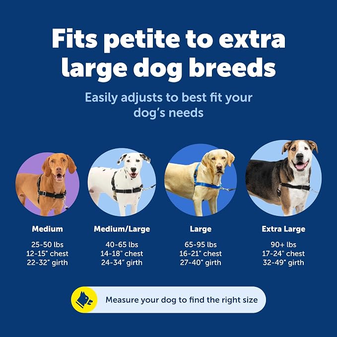 PetSafe Easy Walk Harness for Dogs - Image 7