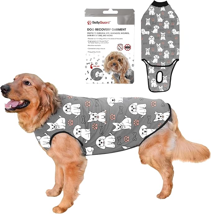 BellyGuard Dog Surgery Recovery Suit, Dog Onesie by BELLYGUARD