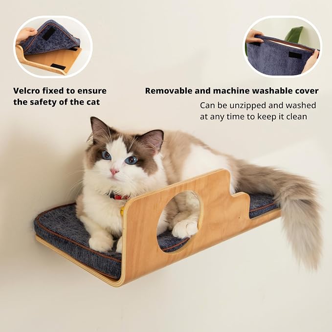 Cat Wall Shelves with 2 Steps, Creative Design Cat Shelf with Peephole - Image 3