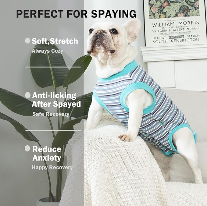 Sebdtico Recovery Suit for Dogs, Dog Surgery Suit Female Spay, Soft Dog Onesie - Image 2