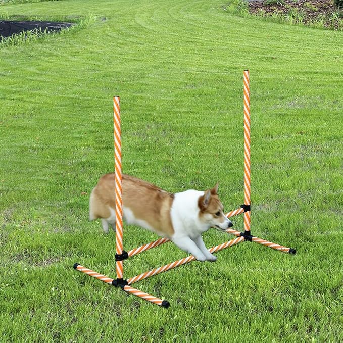 6 Piece Dog Agility Training Equipment - Image 7