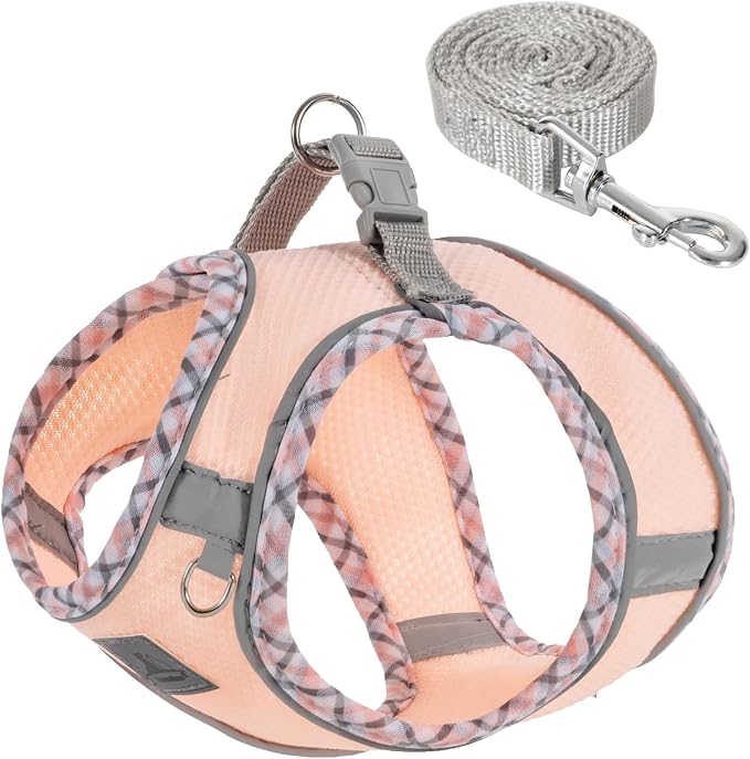 Dog Harness & Leash Set by TomteNisse