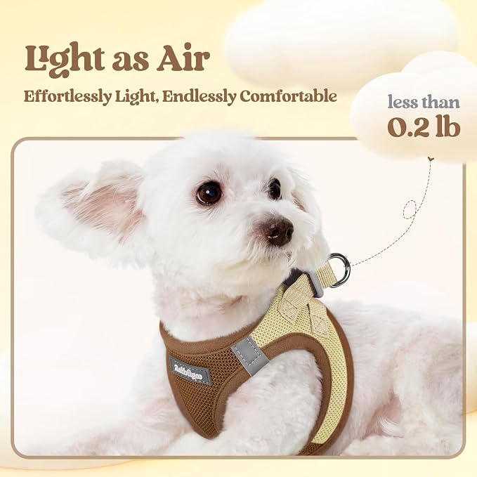 rabbitgoo Dog Harness Small Sized and Leash Set, Step in Soft Light Puppy Vest - Image 3