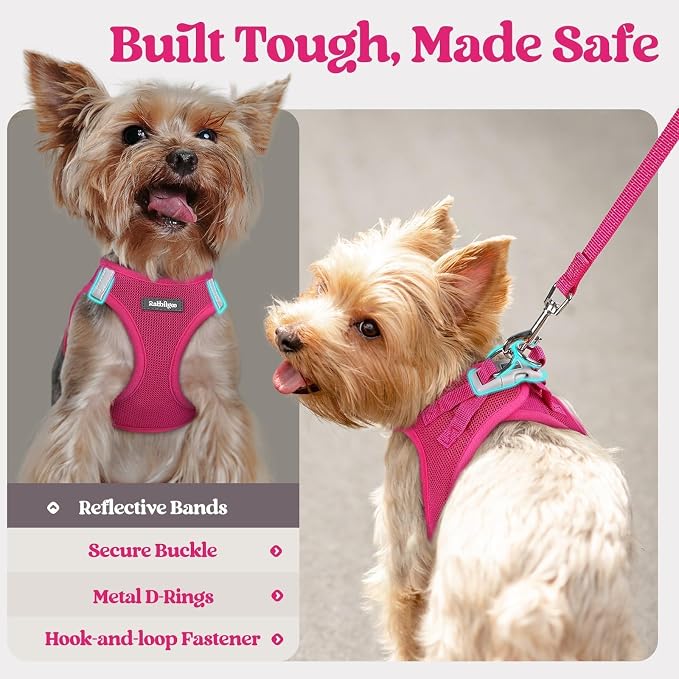 rabbitgoo Dog Harness Small Sized and Leash Set, Step in Soft Light Puppy Vest - Image 5