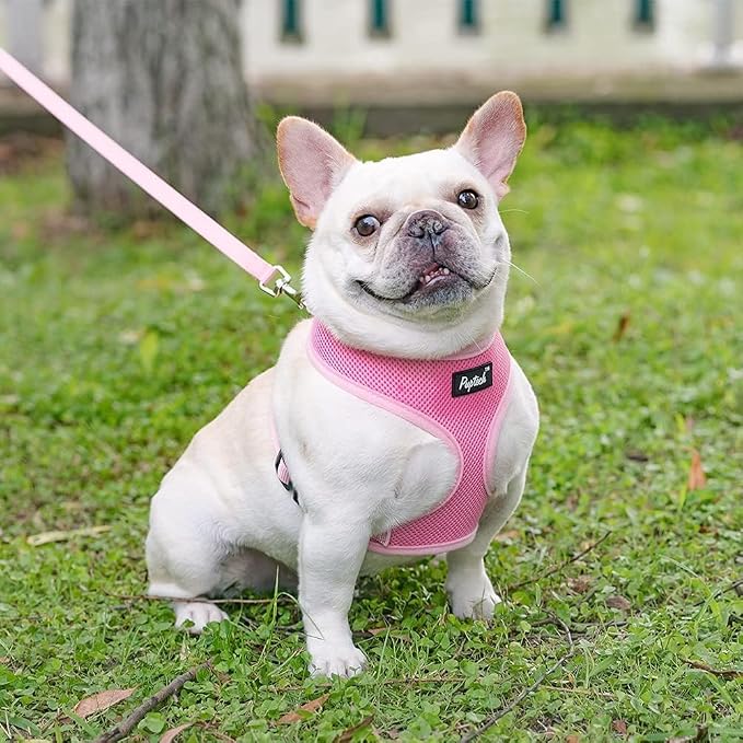 PUPTECK Soft Mesh Dog Harness and Leash Set Pet Puppy Cat Comfort Padded Vest - Image 7