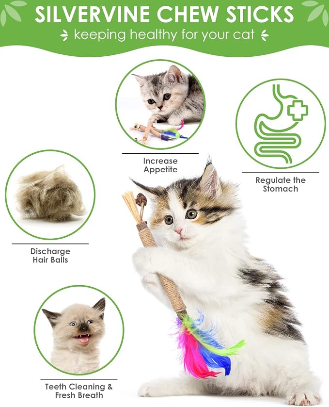 TINDTOP Silvervine Chew Sticks for Cats, Natural Catnip Chew Toys for Kittens - Image 2