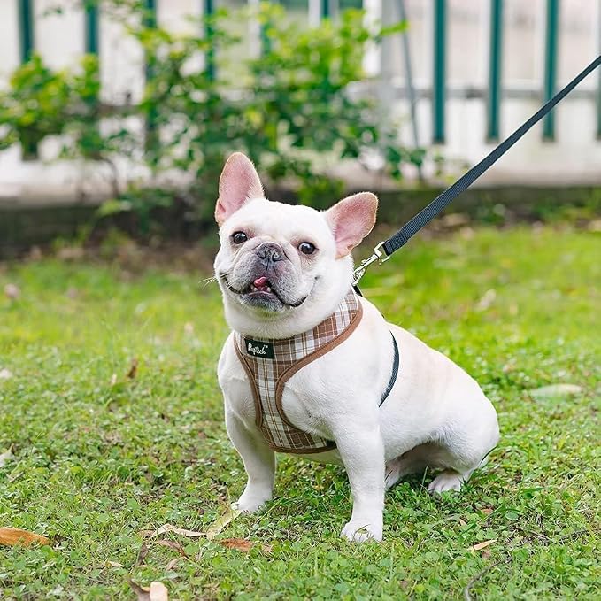 PUPTECK Soft Mesh Dog Harness and Leash Set Pet Puppy Cat Comfort Padded Vest - Image 7