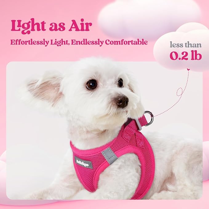 rabbitgoo Dog Harness Small Sized and Leash Set, Step in Soft Light Puppy Vest - Image 3