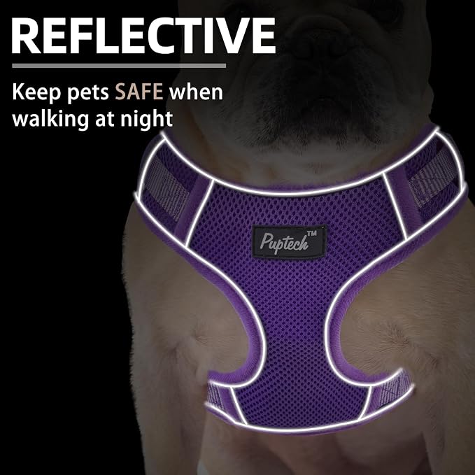 PUPTECK Small Dog Harness and Leash Set, No Pull Adjustable Puppy Cat Harness - Image 5