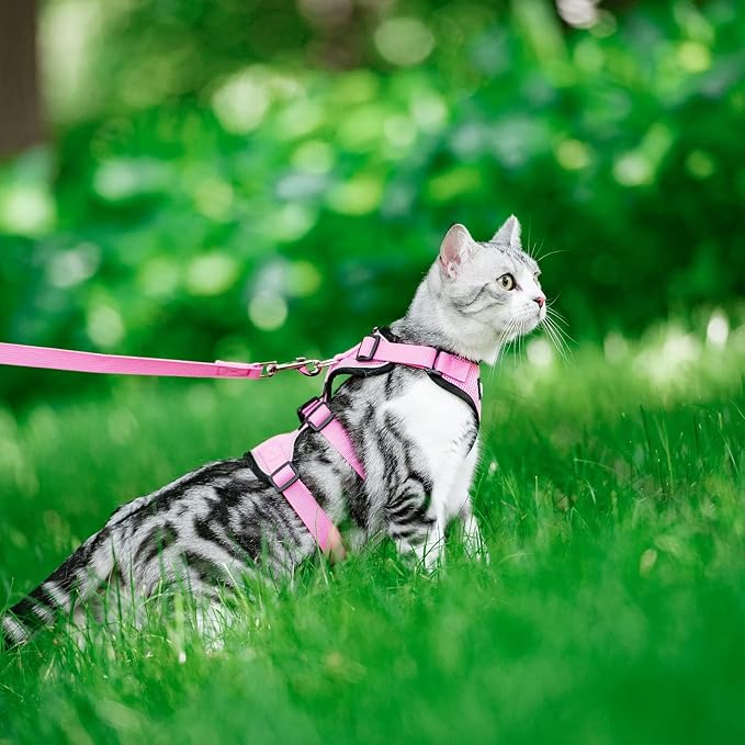 PUPTECK Cat Harness and Leash Set Escape Proof - Image 6