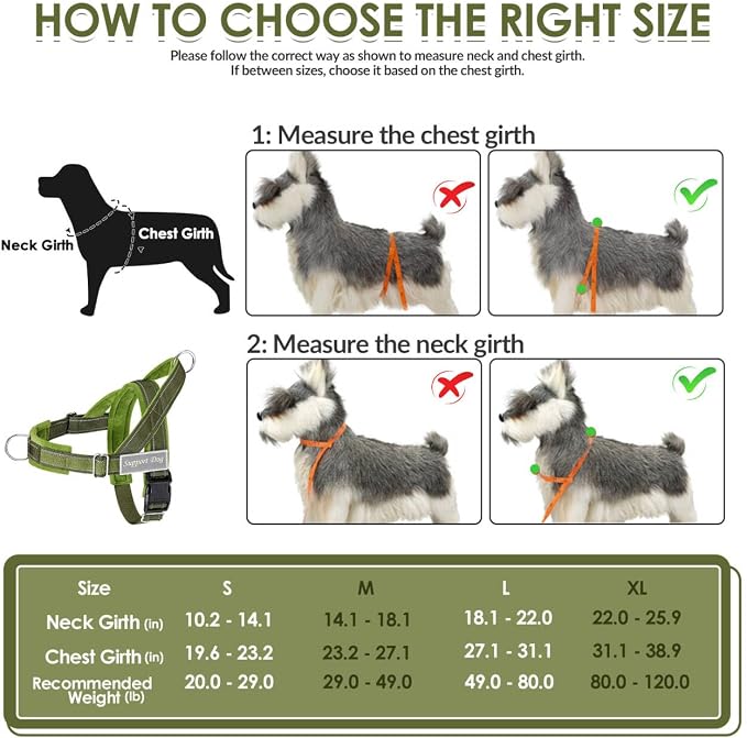SlowTon No Pull Dog Harness - Image 6