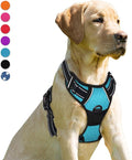 BARKBAY No Pull Dog Harness Front Clip Heavy Duty Reflective Easy Control Handle by BARKBAY