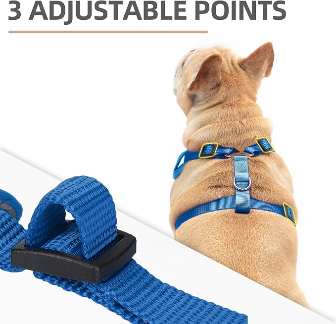 PUPTECK Small Dog Harness and Leash Set, No Pull Adjustable Puppy Cat Harness - Image 2