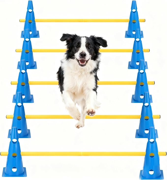 Dog Agility Hurdle Cone Set, 10er 12.5Inch Agility Cones and 5er 31.5Inch by HFYZZ
