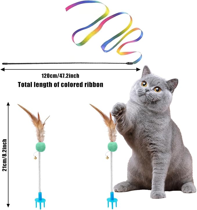 Kitten Starter Kit - Image 5